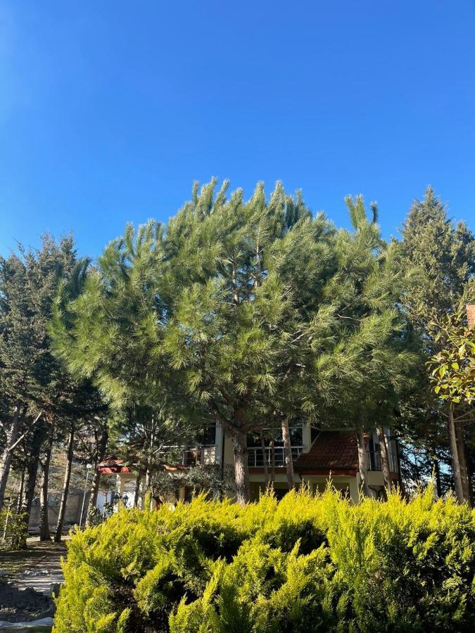 Hotel Garden Villa Ardo 골렘 외부 사진