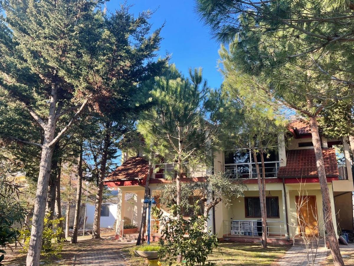Hotel Garden Villa Ardo 골렘 외부 사진